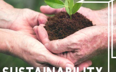 Sustainable Business Practices: A Key to Long-Term Success