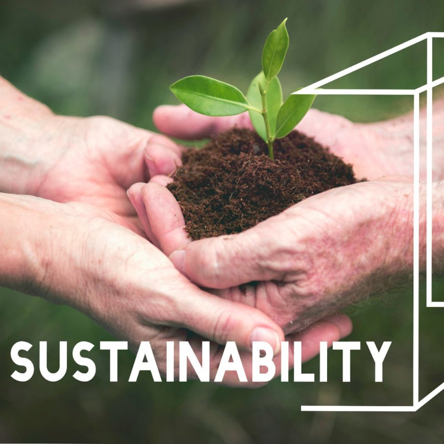 Sustainable Business Practices: A Key to Long-Term Success